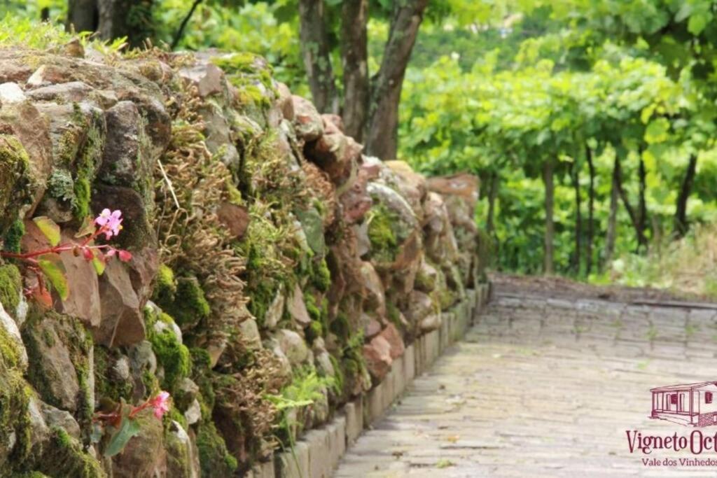 Casa Vigneto Octavio No Vale Dos Vinhedos Villa Bento Gonçalves Dış mekan fotoğraf