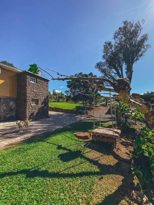 Casa Vigneto Octavio No Vale Dos Vinhedos Villa Bento Gonçalves Dış mekan fotoğraf