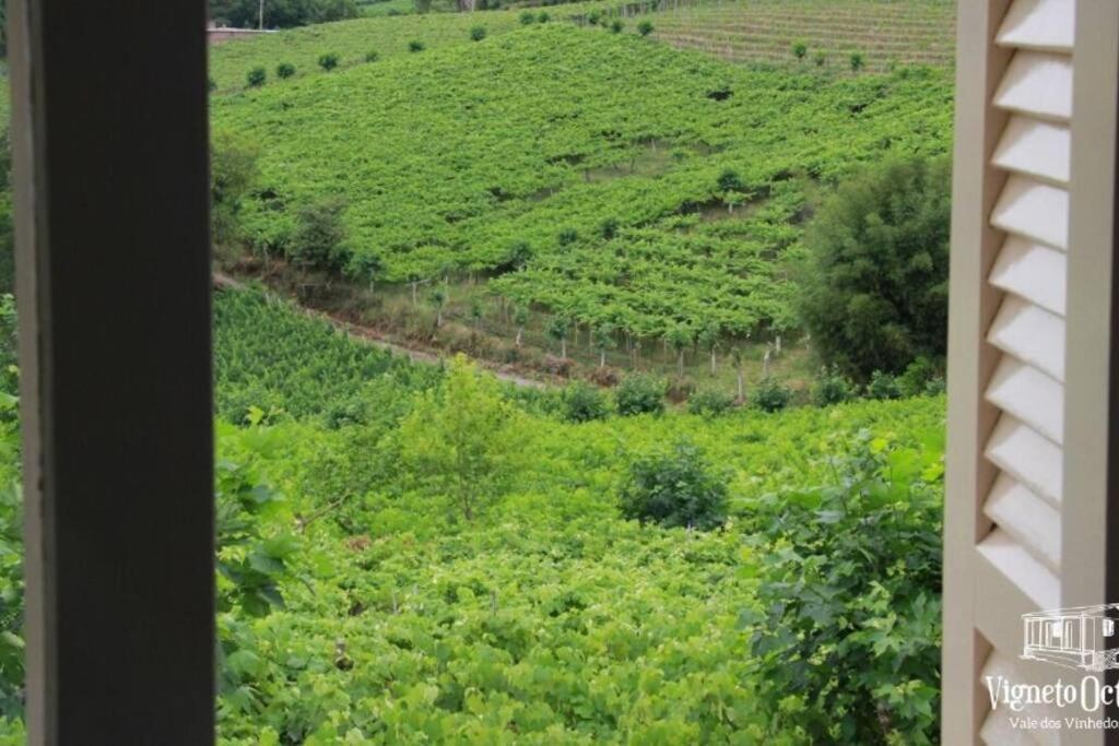 Casa Vigneto Octavio No Vale Dos Vinhedos Villa Bento Gonçalves Dış mekan fotoğraf