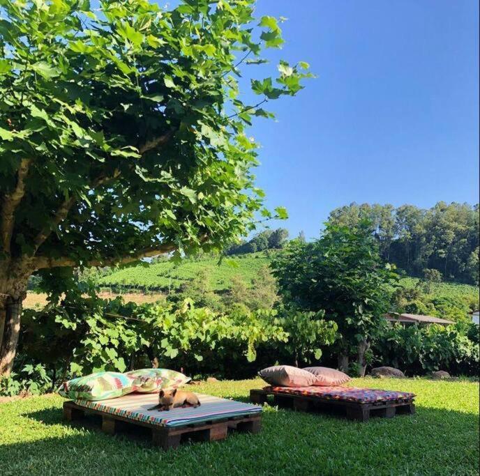 Casa Vigneto Octavio No Vale Dos Vinhedos Villa Bento Gonçalves Dış mekan fotoğraf